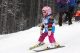 (91) Fotos Schi- und Snowboardrennen 2015 (12/91)