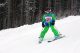(91) Fotos Schi- und Snowboardrennen 2015 (17/91)