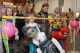 Actionfotos Kinderfasching (184/368)