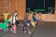 Actionfotos Kinderfasching (300/368)