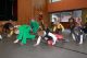 Actionfotos Kinderfasching (305/368)