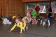 Actionfotos Kinderfasching (315/368)