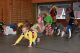 Actionfotos Kinderfasching (315/368)